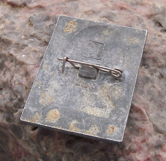 Vintage Nikolay Chernyshevsky Russian Writer Philosopher Pin Badge