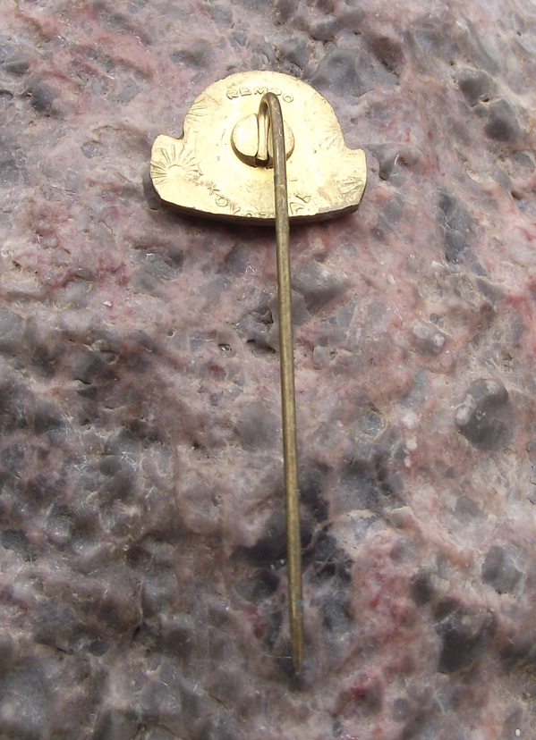 1975 Tesla Liptovský Hrádok Pin Badge 25th Anniversary Pin Badge