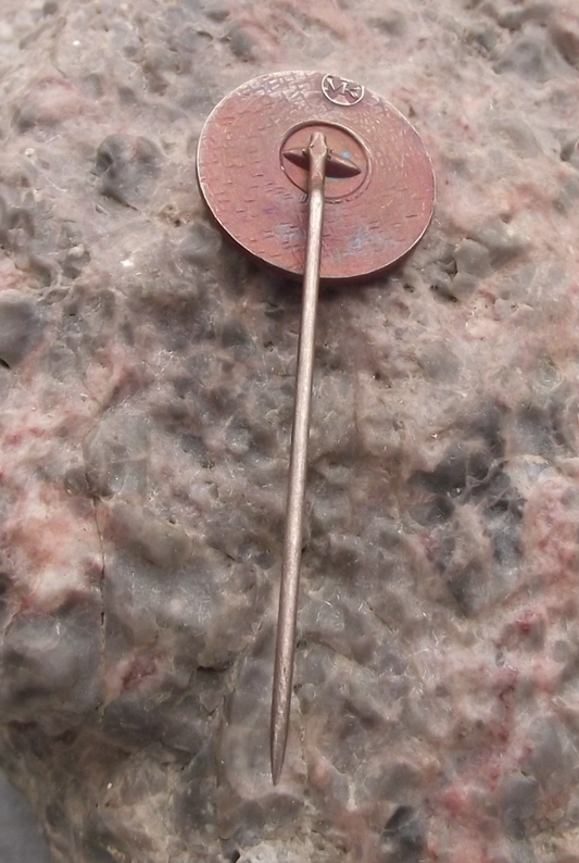 1987 Soviet Union Interkosmos Space Program Anniversary Peace Dove Pin Badge