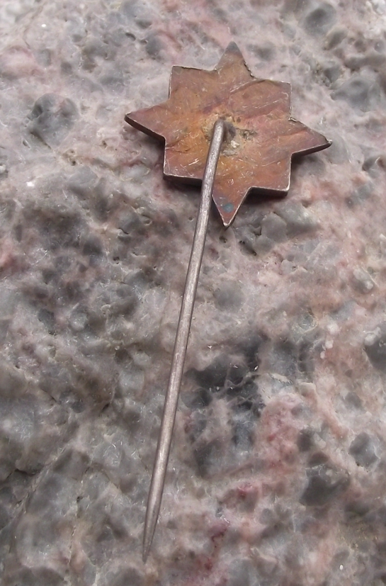 1984 OIJ International Organization of Journalists Avviversary Pin Badge