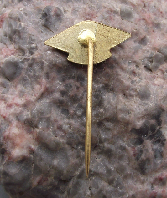 1969 Tesla Electronics 40th anniversary Pin Badge