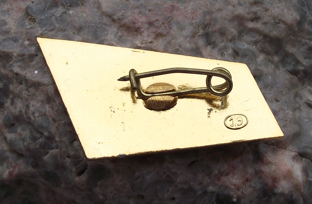 1970 Soviet Union Czechoslovakia Friendship Train Pin Badge