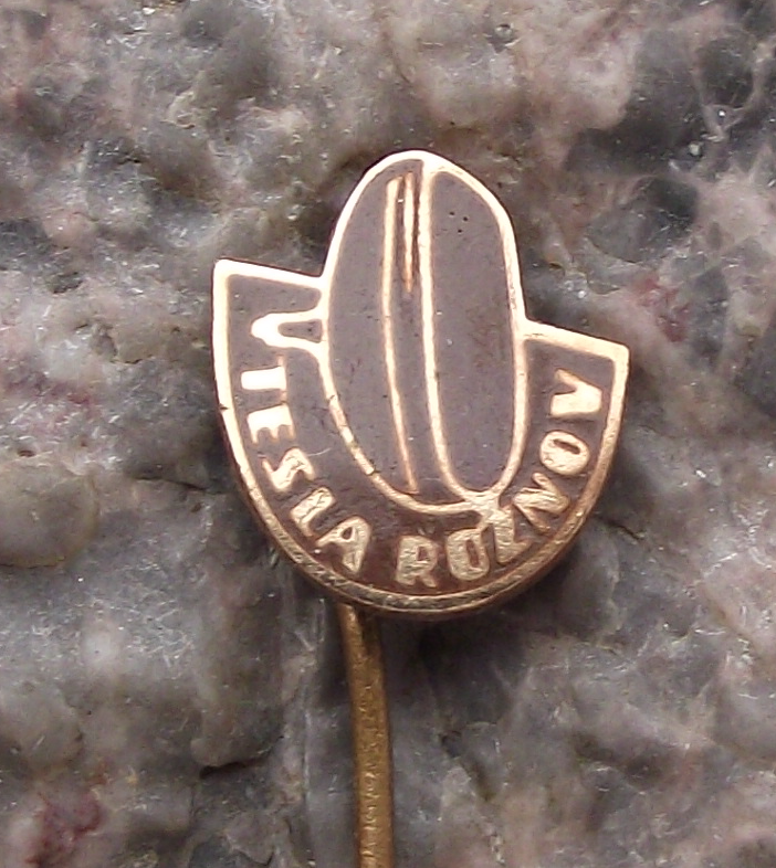 Vintage Tesla Electronics Rožnov Televisions CRT Pin Badge