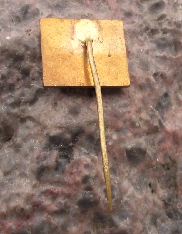 1980 Tesla Liptovský Hrádok Pin Badge 30th Anniversary Pin Badge