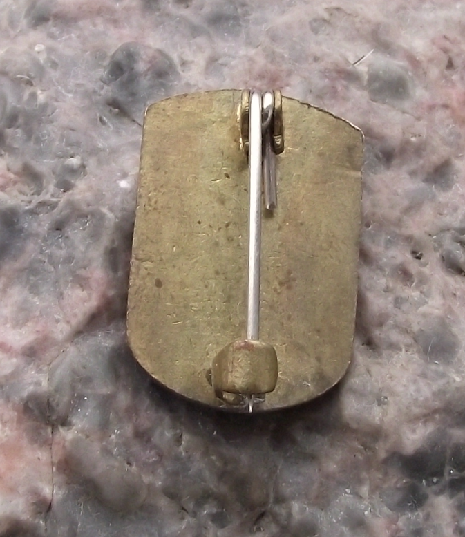 Vintage Leipzig East Germany Lion Official Heraldic City Crest Shield Pin Badge