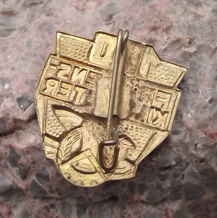 Vintage NAW Nationale Aufbauwerk GDR Germany National Front 100 Km Pin Badge