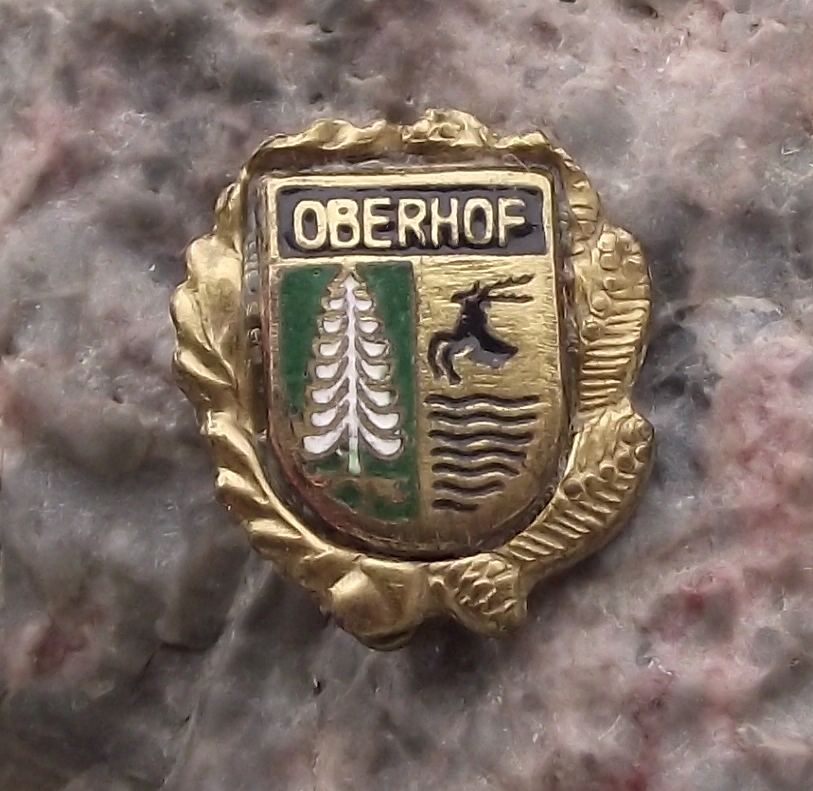Vintage Germany Thuringia Region Tourist Crest Coat of Arms Pin Badge