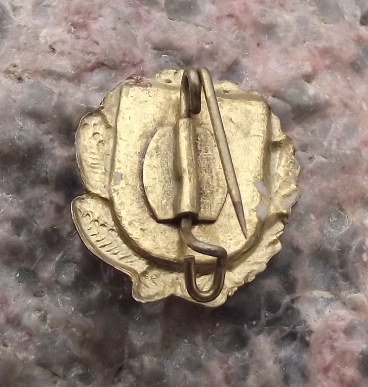 Vintage Germany Thuringia Region Tourist Crest Coat of Arms Pin Badge