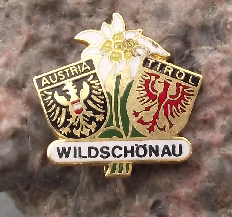 Vintage Wildschonau Tyrol Tirol Austria Tourist Crest Edelweiss Pin Badge