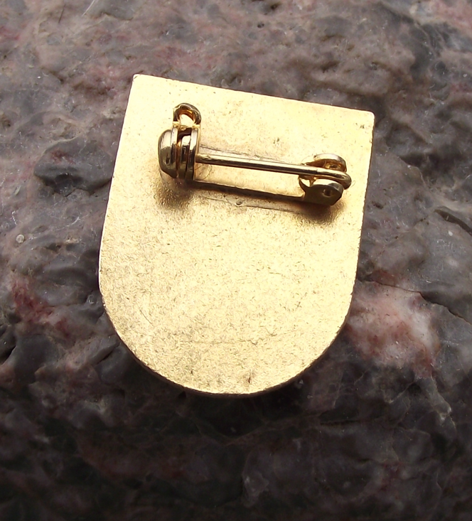 Vintage Reith im Alpbachtal Tyrol Austria Tourist Pin Badge