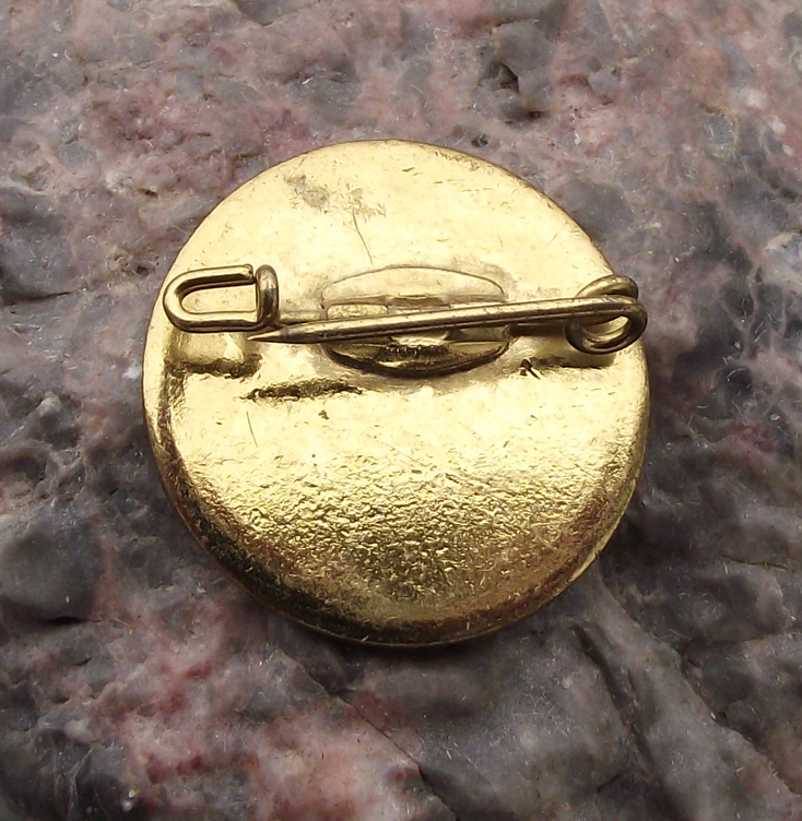 Vintage Austria Austrian Tourist Black Eagle Crest Tourist Pin Badge