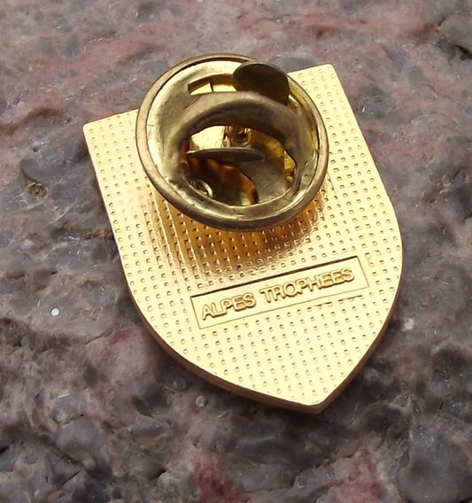 Vintage Chamonix France French Alps Heraldic Crest Pin Badge