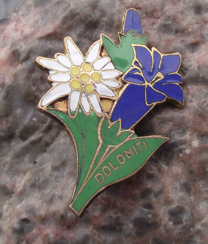 Vintage Dolomite Mountains Edelweiss and Campanula Flowers Pin Badge