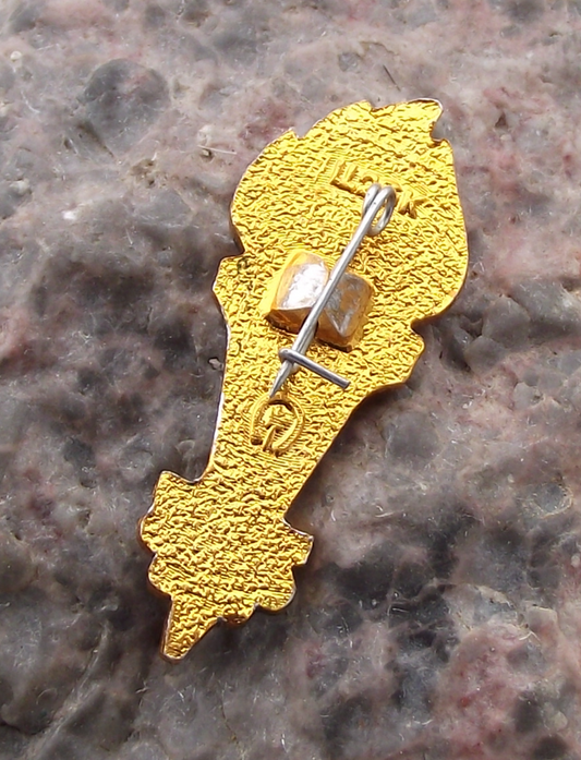 1980 Moscow Olympic Games Rings & Torch Eternal Flame Logo Pin Badge