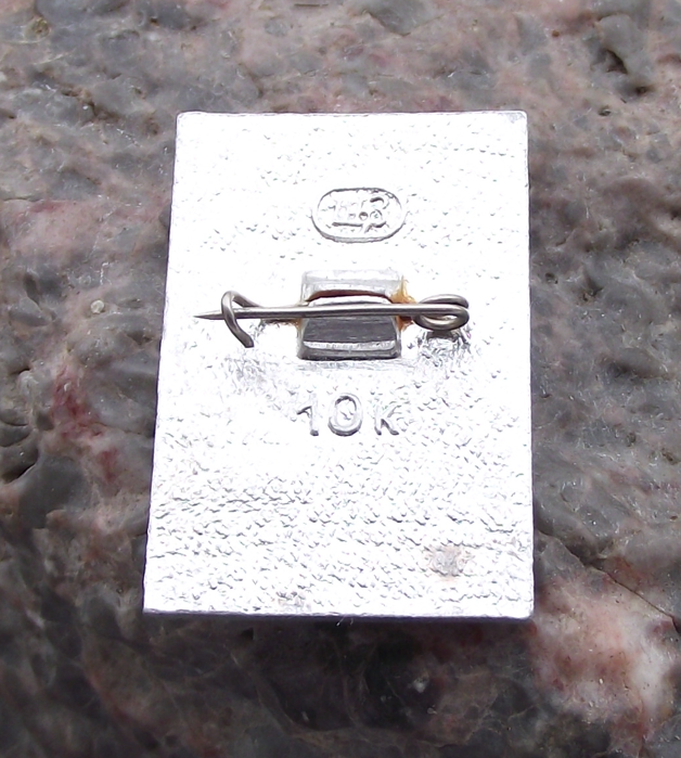 Vintage Anton Chekhov Russian Writer and Playwright Pin Badge