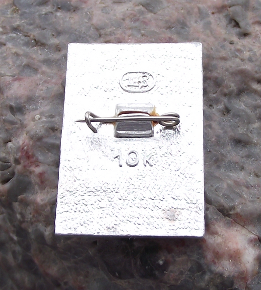 Vintage Anton Chekhov Russian Writer and Playwright Pin Badge