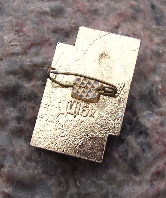 1971 Ukraine Vasyl Stefanyk Ukrainian Writer and Political Activist Pin Badge