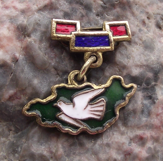 Vintage Mongolia Dove of Peace over Country Map Outline Pin Badge