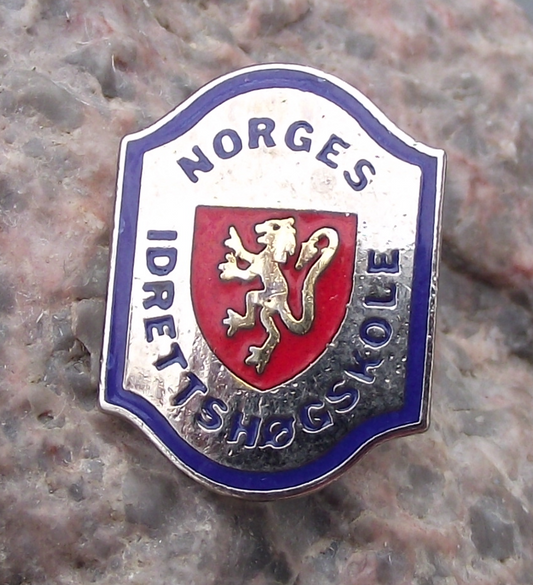 Vintage Norwegian School of Sport Sciences Norges idrettshøgskole Pin Badge