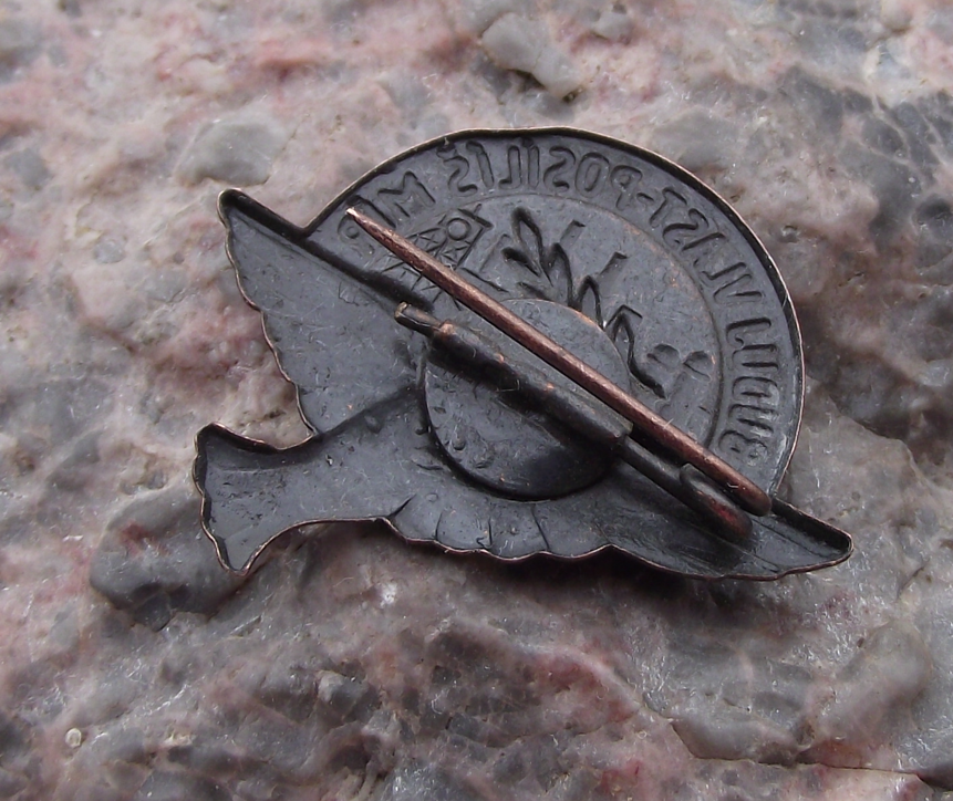 Vintage Dove of Peace with Olive Branch Building Homeland Pin Badge