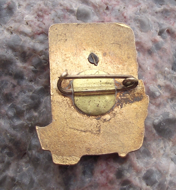 Vintage Bulgarian Dimitrov Communist Youth Union Lyuben Karavelov Pin Badge