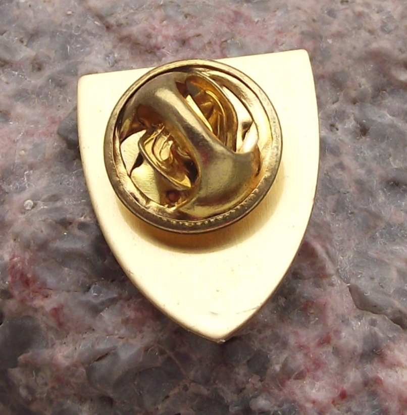 St. Peter's Basilica Vatican City Vaticano Shield Pin Badge
