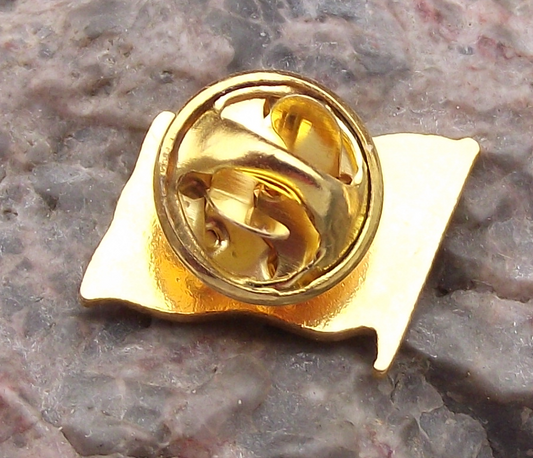 Vintage Principality of Liechtenstein National Flag Clasp Enamel Pin Badge
