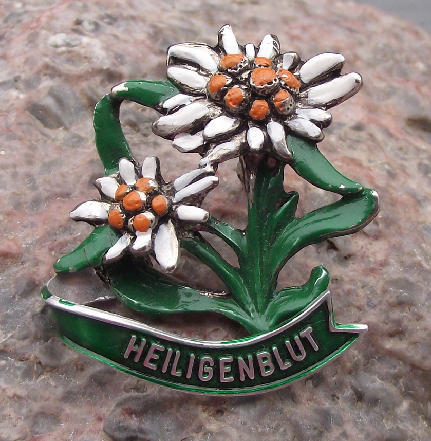 Vintage Austria Heiligenblut am Großglockner Edelweiss Flowers Pin Badge
