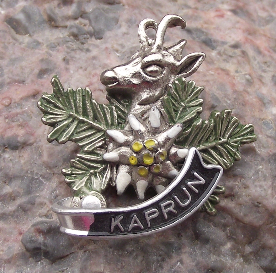 Vintage Austria Kaprun Edelweiss Deer Stag Head Pin Badge