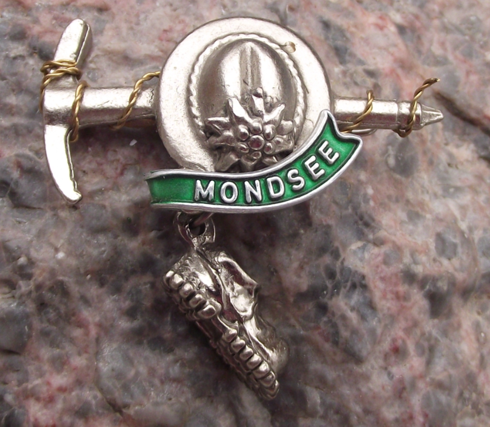 Vintage Austria Mondsee Mountain Axe Hunters Hat Edelweiss Boot Pin Badge