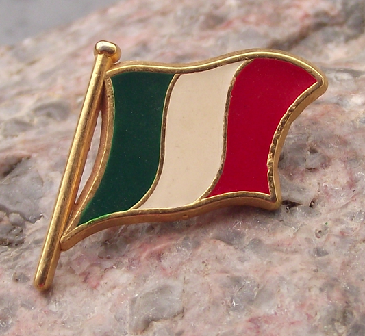 Vintage Official National Flag of Italy Italian Pin Badge