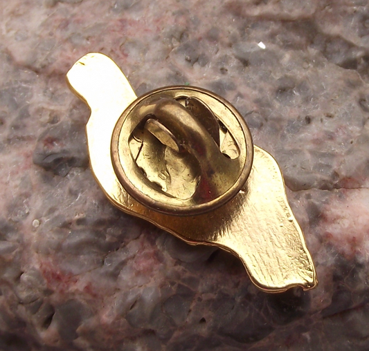 Vintage Lanzarote National Flag Colours Map Outline Pin Badge