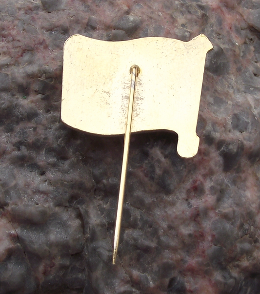 Flag of Croatia Tourist Souvenir Pin Badge