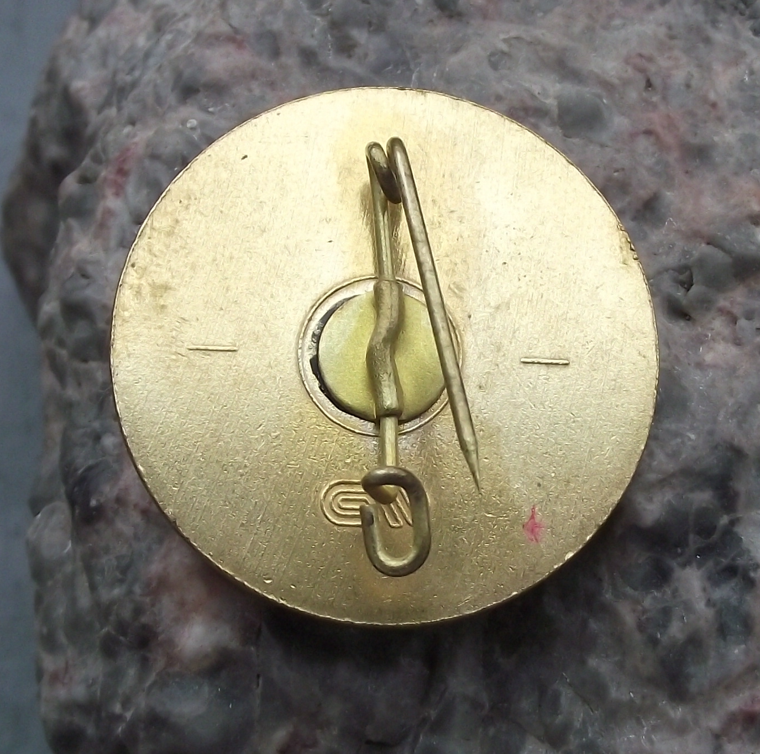 Vintage Austria Schafberg Schutzhütte Himmelspforte Mountain Huts Pin Badge