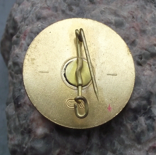 Vintage Austria Schafberg Schutzhütte Himmelspforte Mountain Huts Pin Badge