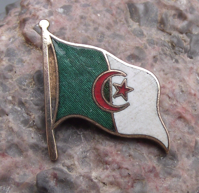 Vintage Flag of Algeria Algerian Tourist Souvenir Pin Badge