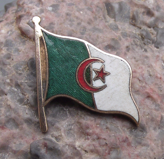 Vintage Flag of Algeria Algerian Tourist Souvenir Pin Badge