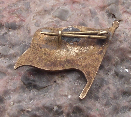 Vintage Flag of Algeria Algerian Tourist Souvenir Pin Badge