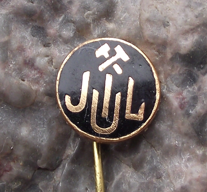 Vintage CSM Jiul Petroșani Football Club Romania Soccer Pin Badge