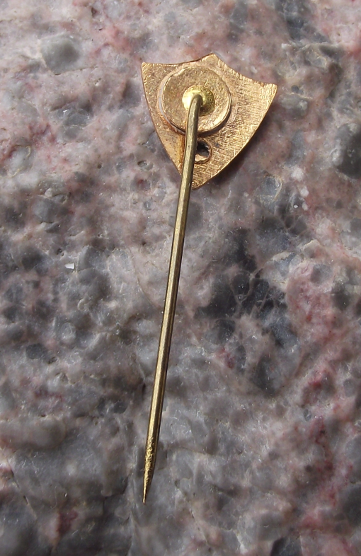 Vintage CSM Club Sportiv Arad Football Club Romania Soccer Pin Badge