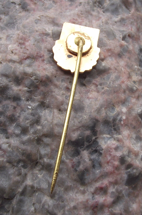 Vintage Vagonul Arad Football Club Romania Soccer Pin Badge