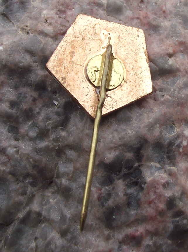 Vintage AS Paroșeni Vulcan Football Club Romania Soccer Pin Badge