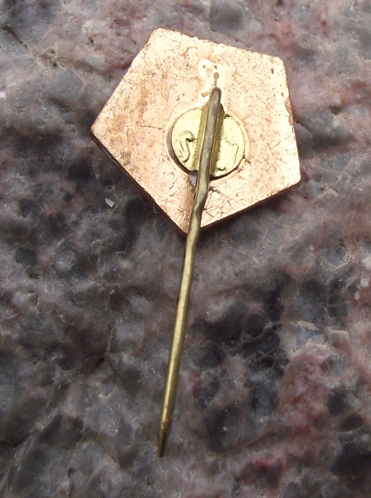 Vintage AS Paroșeni Vulcan Football Club Romania Soccer Pin Badge