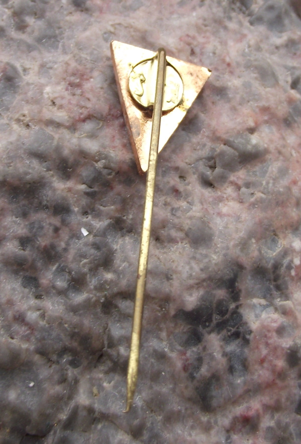 Vintage CSM Dunărea Galaţi Football Club Romania Soccer Pin Badge