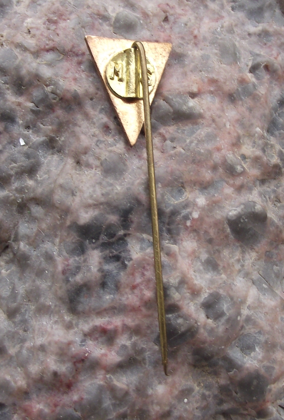 Vintage CSM Dunărea Galați Football Club Romania Soccer Pin Badge