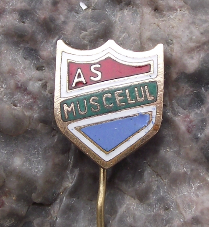Vintage AS Muscelul Football Club Romania Soccer Pin Badge