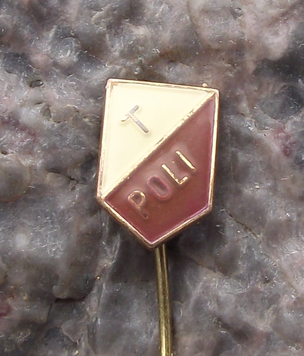 Vintage Fotbal Club Politehnica Timișoara Football Romania Soccer Pin Badge