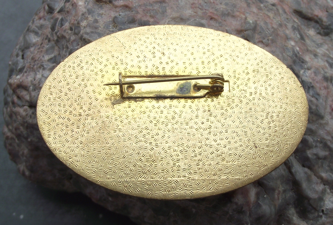 1981 United Nations UN World Womens Conference Prague Dove Pin Badge