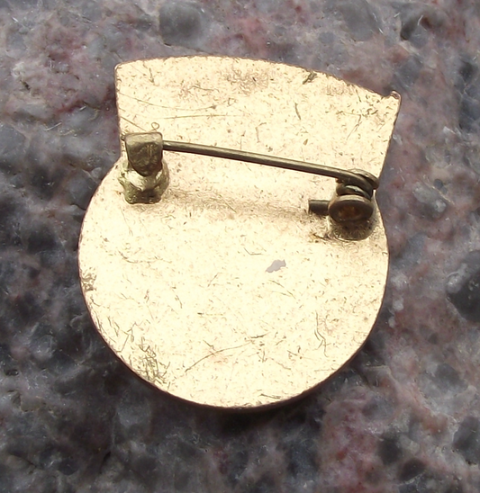 Vintage Democratic Youth Organization of Madagascar Pin Badge