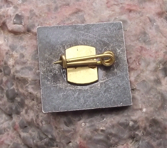 1975 Tour International Danubien 20th TID Danube Canoe Event Pin Badge